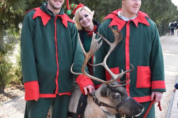 Adventi Forgatag 2019.