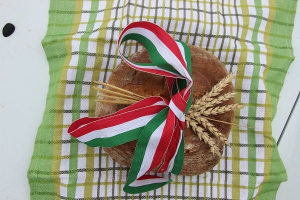 Együttműködés az Interreg Pályázat keretében