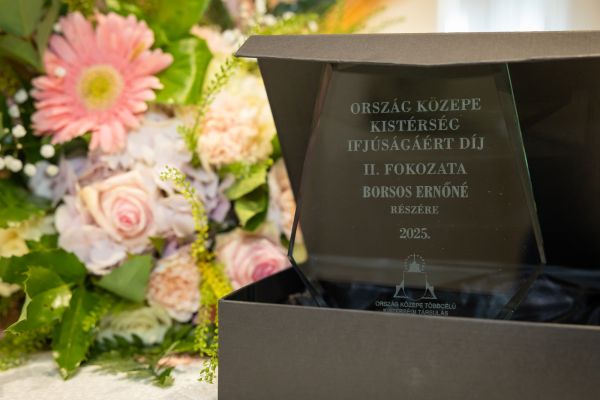 Városi pedagógusnap 2025.