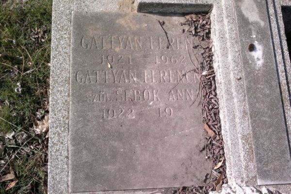 Békességpark fotó galéria 