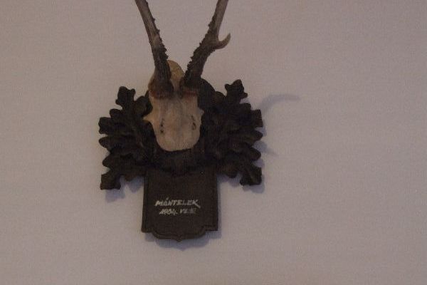 Velikovszki Pál Emlékszoba