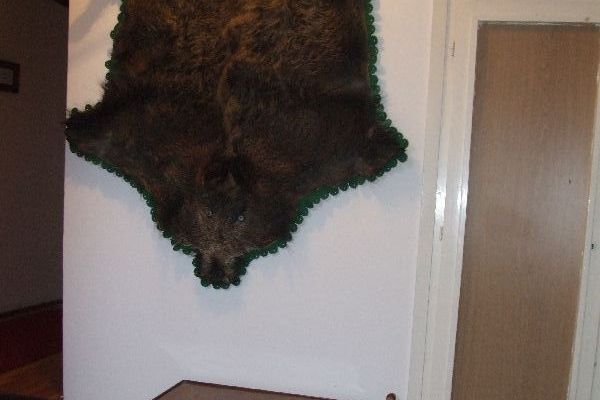 Velikovszki Pál Emlékszoba