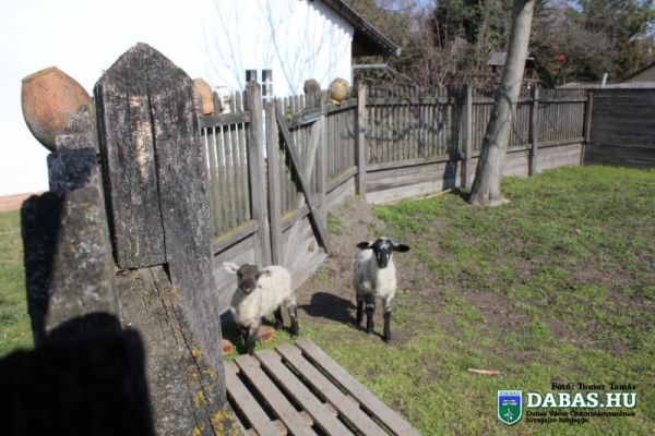 Levendulaház Közösségi Színtér-és Értéktár