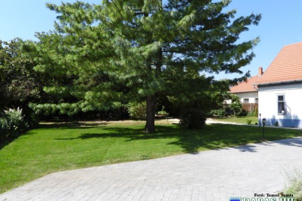 Értéktár ( Gombay-Dinnyés-kúria)