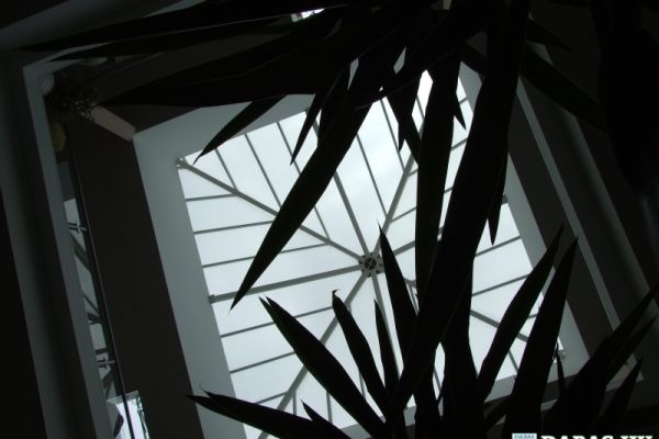 Dr. Halász Géza Szakorvosi Rendelőintézet