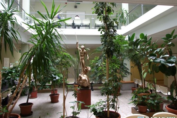 Dr. Halász Géza Szakorvosi Rendelőintézet