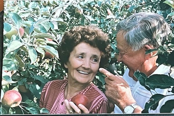 Dr. Szűcs István munkássága és szerepe a dabasi körzet 20. századi egészségügyi ellátásában