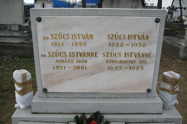 Dr. Szűcs István munkássága és szerepe a dabasi körzet 20. századi egészségügyi ellátásában