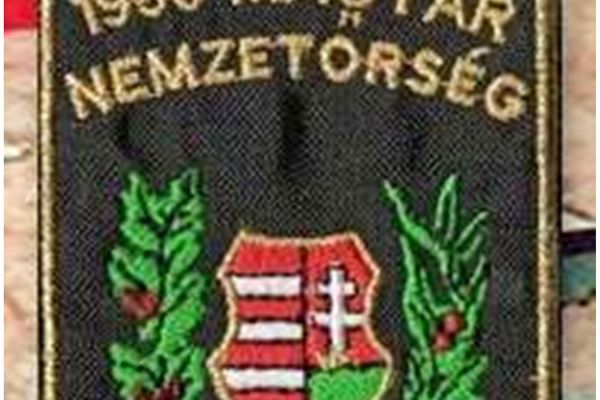 Király Lajos járási nemzetőrparancsnok tevékenysége 1956-ban 