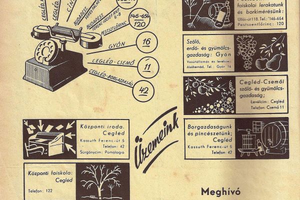 Unghváry László gyóni birtokalapító tevékenysége 1898-1919