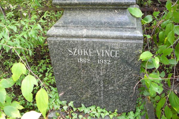 Szentkirályszabadjai Szőke Vince 184849-es honvédszázados életútjának dabasi vonatkozásai