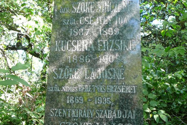 Szentkirályszabadjai Szőke Vince 184849-es honvédszázados életútjának dabasi vonatkozásai