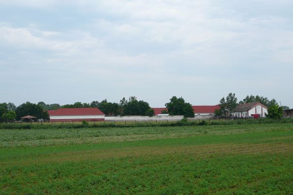 A Királyi Országos Gyűjtőfogház béruradalmának (rabgazdaság) működése 1925-1945