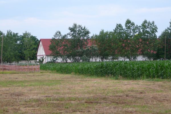 A Királyi Országos Gyűjtőfogház béruradalmának (rabgazdaság) működése 1925-1945