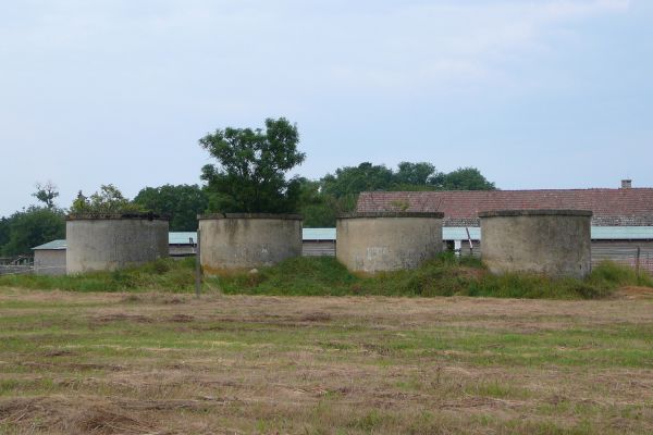 A Királyi Országos Gyűjtőfogház béruradalmának (rabgazdaság) működése 1925-1945