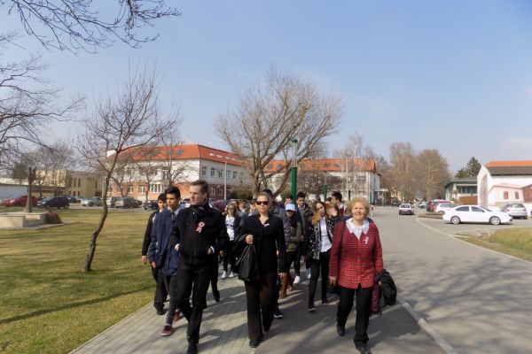 A „Kossuth Zsuzsanna élete és munkássága” című videófilm