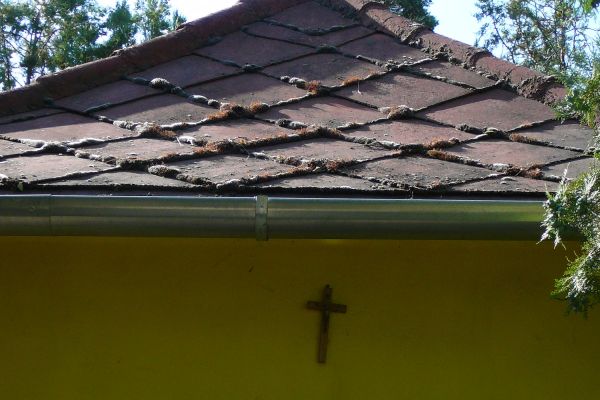 A Boldogságos Szűz Mária Kápolnája Felsődabason