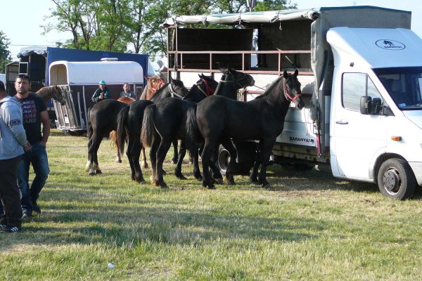 A felsődabasi vásár