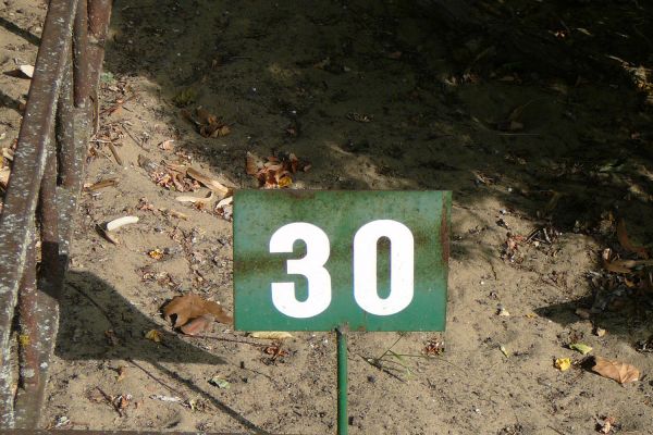 A Halász család síremlékei a gyóni köztemetőben