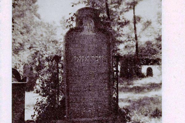 Dr. Rosenzweig József életútjának dabasi vonatkozásai