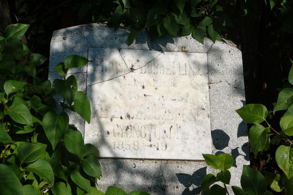 Siposné Dobozy Lina drámai színésznő síremléke