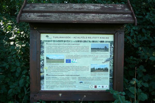 A Dabasi-turjános természetvédelmi terület