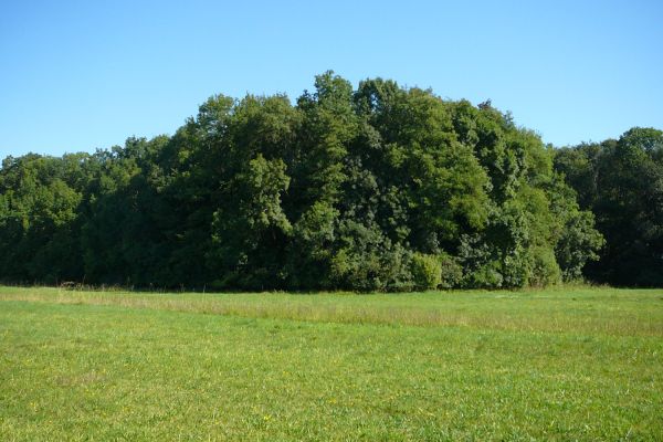 A Dabasi-turjános természetvédelmi terület