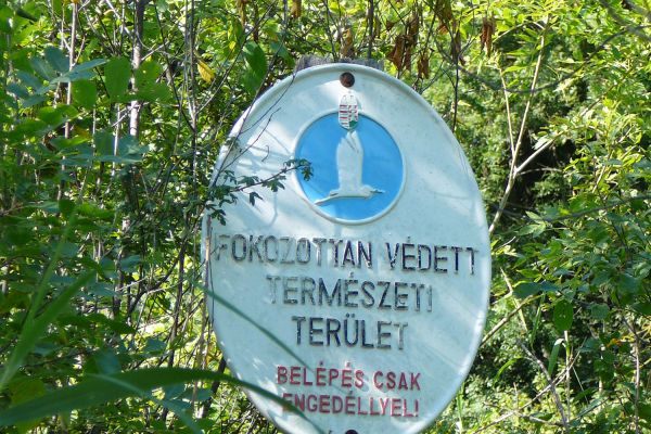 A Dabasi-turjános természetvédelmi terület