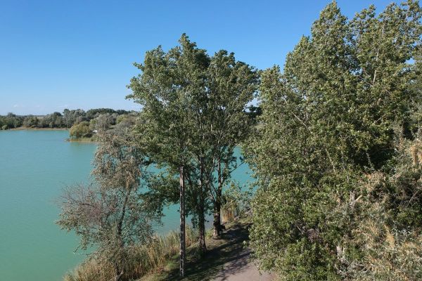 A tó és környéke