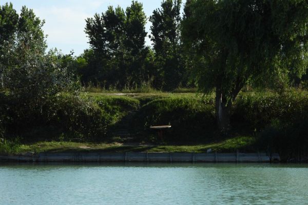 A tó és környéke