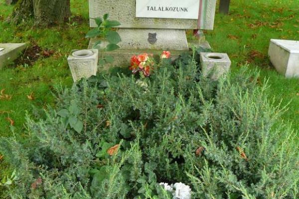 Lakos János (1920-1957) síremléke