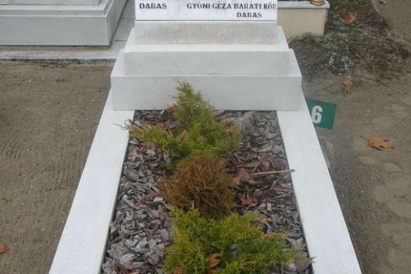 A Gyóni Géza Baráti Kör működése (1974-1990)