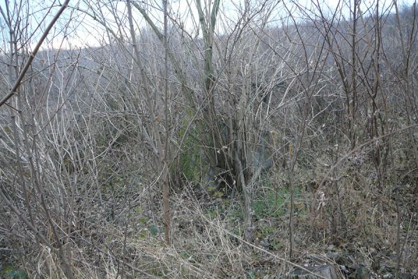 Sári község szerepe a magyar lokátor fejlesztésben