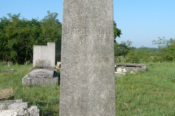 Bartholomaeides Soma őszibarack-nemesítő tevékenysége
