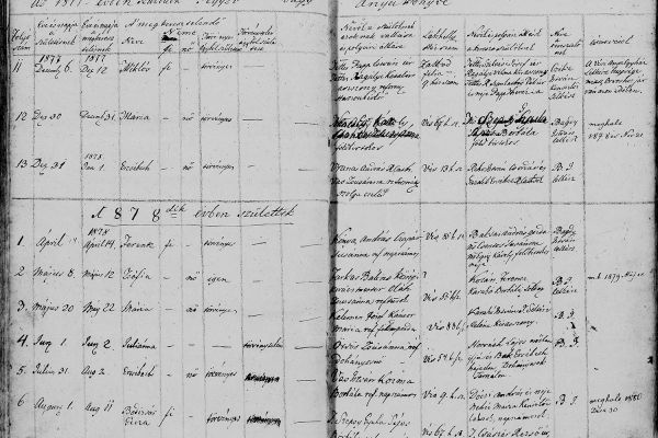 Szepsy Boldizsár gazdatiszti tevékenysége