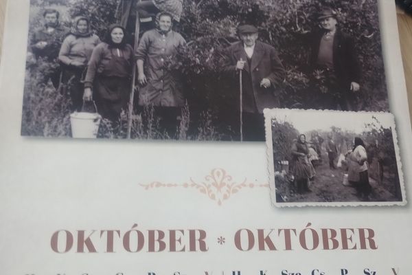 Projekt címe: „Naptár”