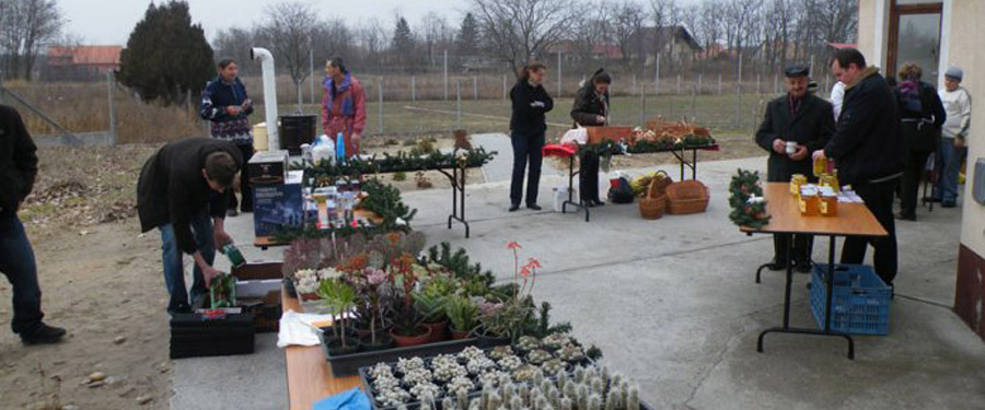 Szőlősi Adventi Délután