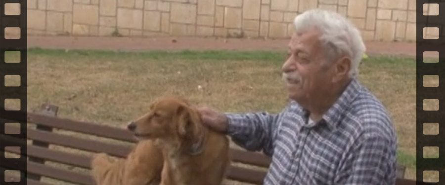 Dabas Város Díszpolgára 2014. 