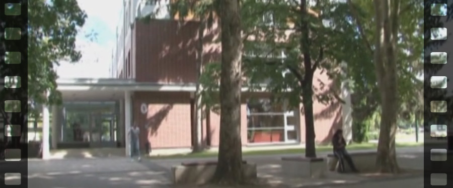 Iskolai közösségi szolgálat