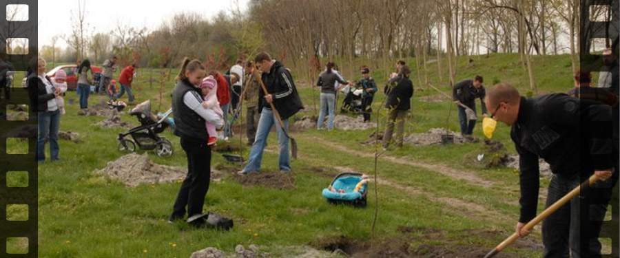 Újszülöttek Köszöntése a gyóni Mesevár Óvodában