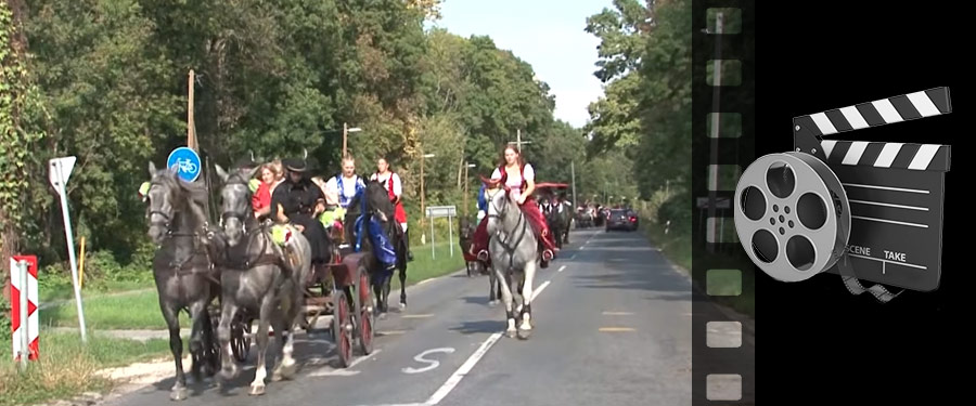 Szüreti felvonulások - 2019