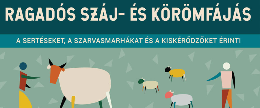 Mi a ragadós száj- és körömfájás, és hogyan kell rá reagálni?