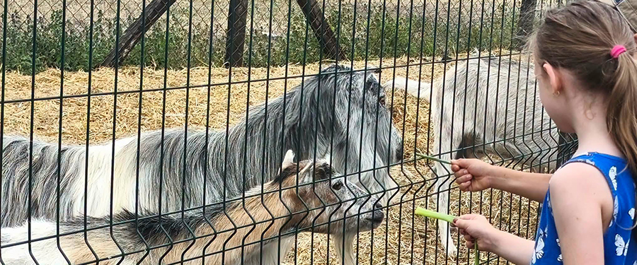 Beszámoló a Sári Zarándokházban megrendezett hagyományőrző gyermektáborról