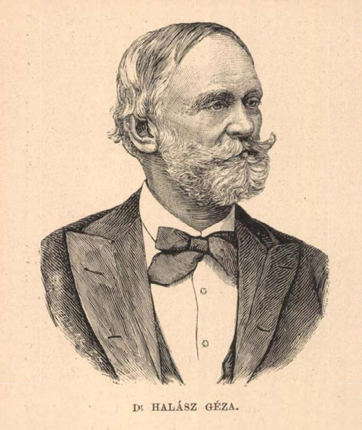 Dr. Dabasi Halász Géza (1817-1888) orvosi és közéleti munkássága