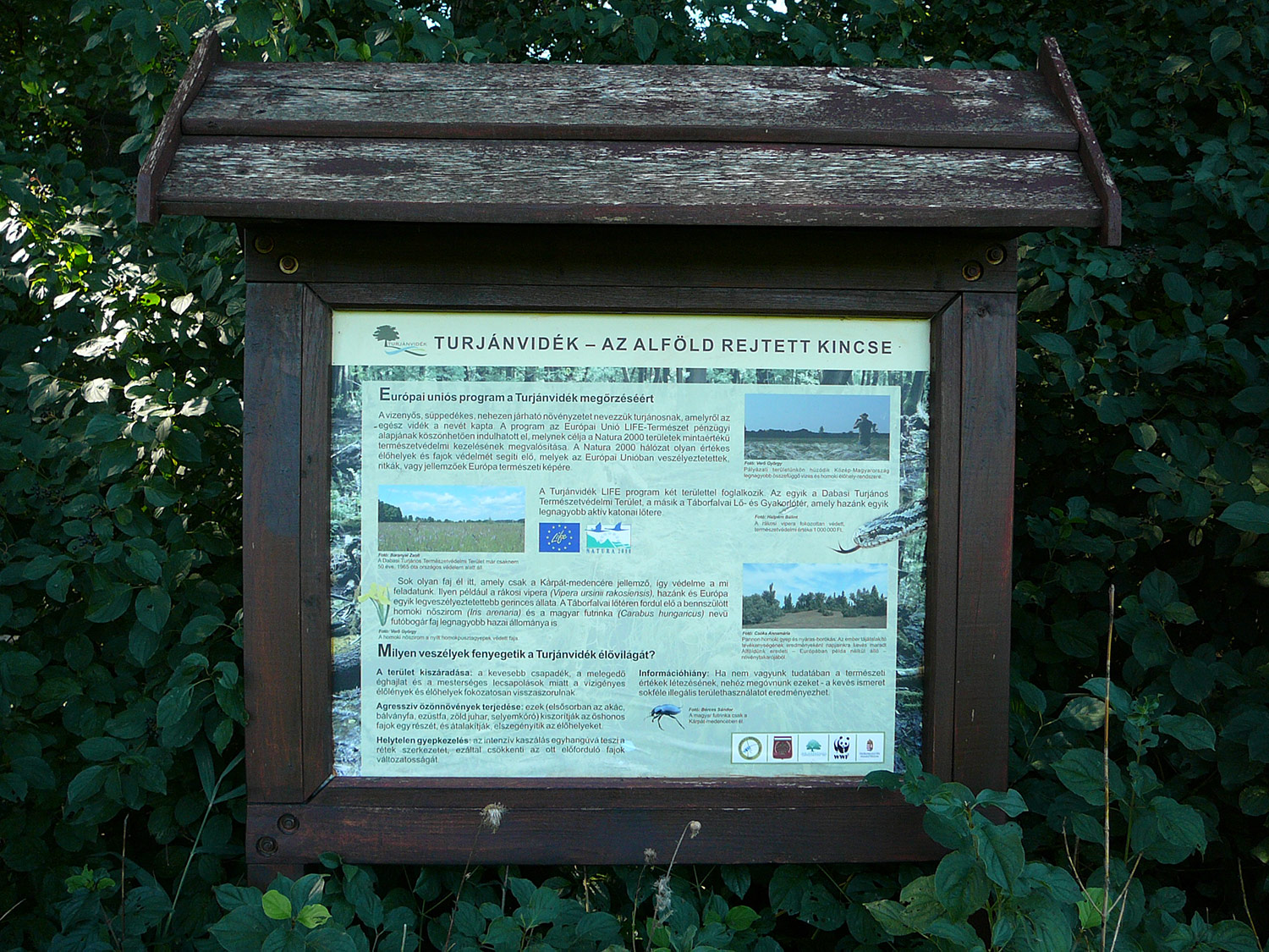 A Dabasi-turjános természetvédelmi terület
